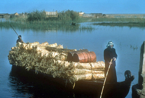 Marsh Arabs with their cargo of reeds on the Euphrates,  Iraq